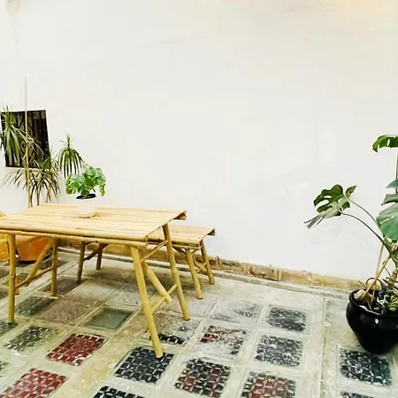 Patio Lovers Malaga